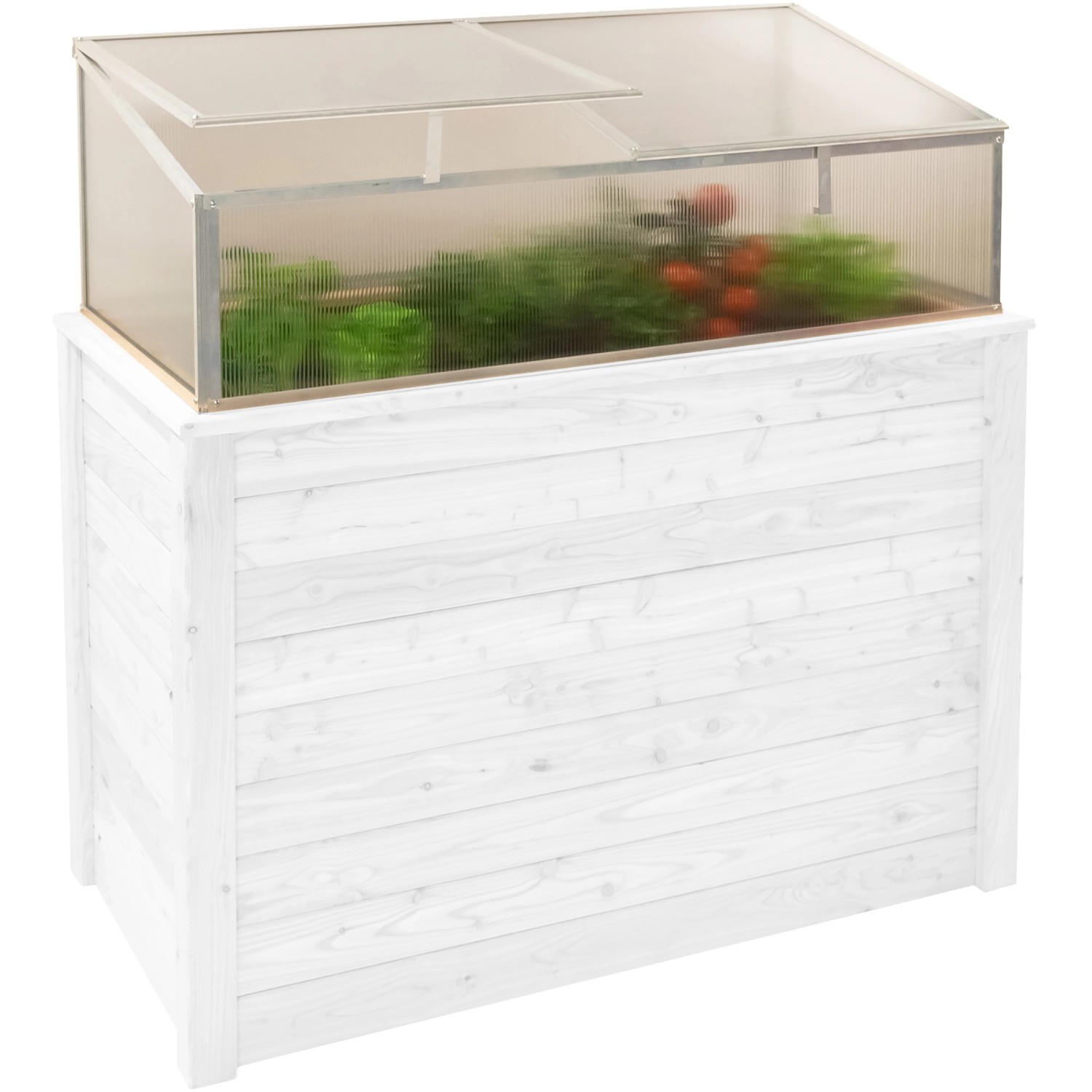 Westmann Frühbeetaufsatz Genus 100 62x95x41cm