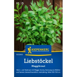 Kiepenkerl Liebstöckel Maggikraut im Topf, grüne Blätter.