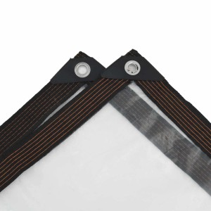 vidaXL Plane mit Ösen Transparent 5 x 6 m Polyethylen 3429321