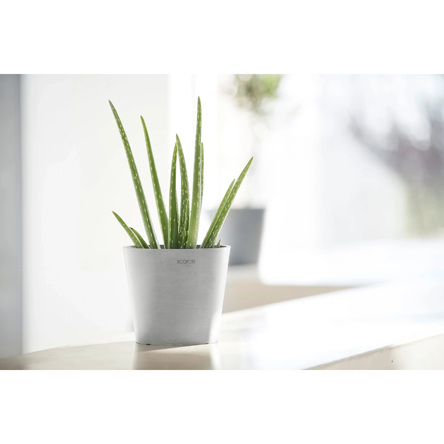 Ecopots Amsterdam Mini Pflanztopf, weißgrau, 17 cm, mit Aloe Vera Pflanze.