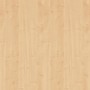 Dekorspanplatte Ahorn, 280x207x1,6 cm, für Möbel- und Innenausbau.