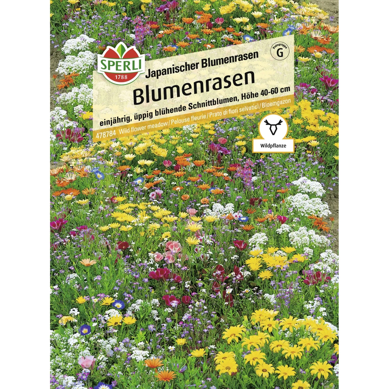 Sperli Blumenrasen "Japanischer Blumenrasen"