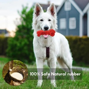 Weißer Schäferhund mit rotem Kauspielzeug (Truck) im Maul, ein Intelligenzspielzeug.