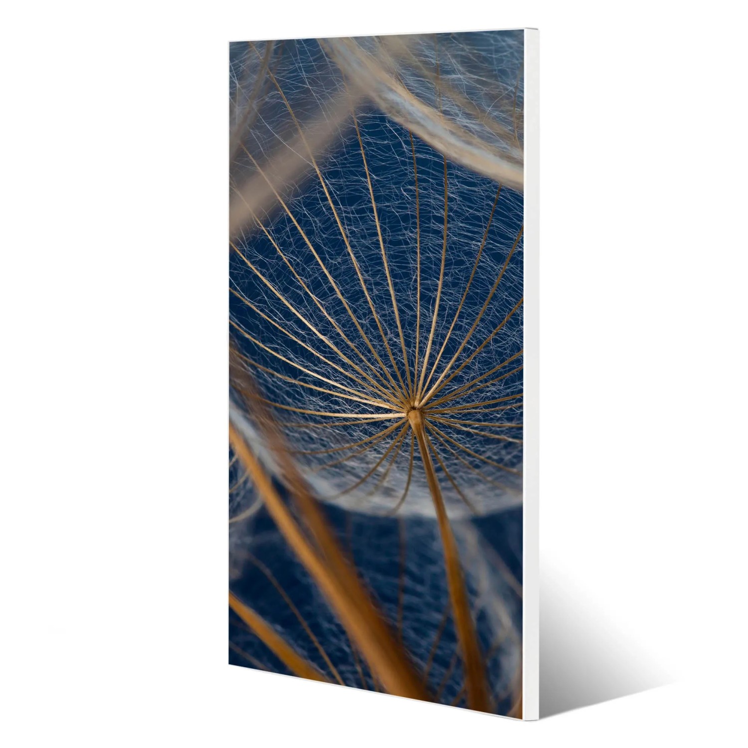 Weiße Magnettafel 37x78cm mit Pusteblumen Motiv. Metall Pinnwand für Notizen und Fotos.