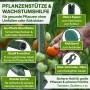 TTL GARDEN Rankstäbe 90cm 15er Set 11mm Kunststoffbeschichtet Pflanzstäbe Rankhilfe Tomatenstab Für Garten Gewächshaus_3