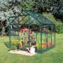 Grünes Halls Gewächshaus Popular 66 mit Pflanzen und Gießkanne im Garten.