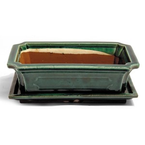 Grüne Bonsai Schale mit Unterteller, ca. 25 cm Durchmesser. Ideal für Bonsai Bäume.