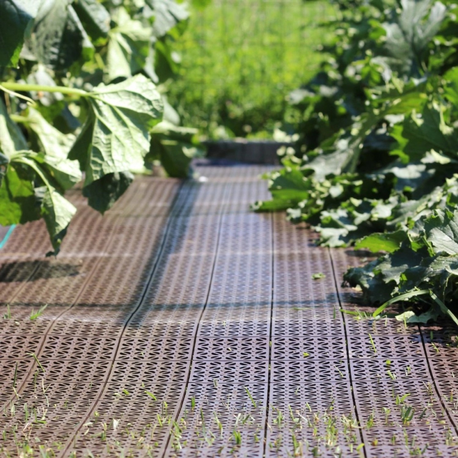 Ezooza Multiflex Fliesen, 2m², grün, aus Kunststoff, rutschfest und drainierend im Garten.