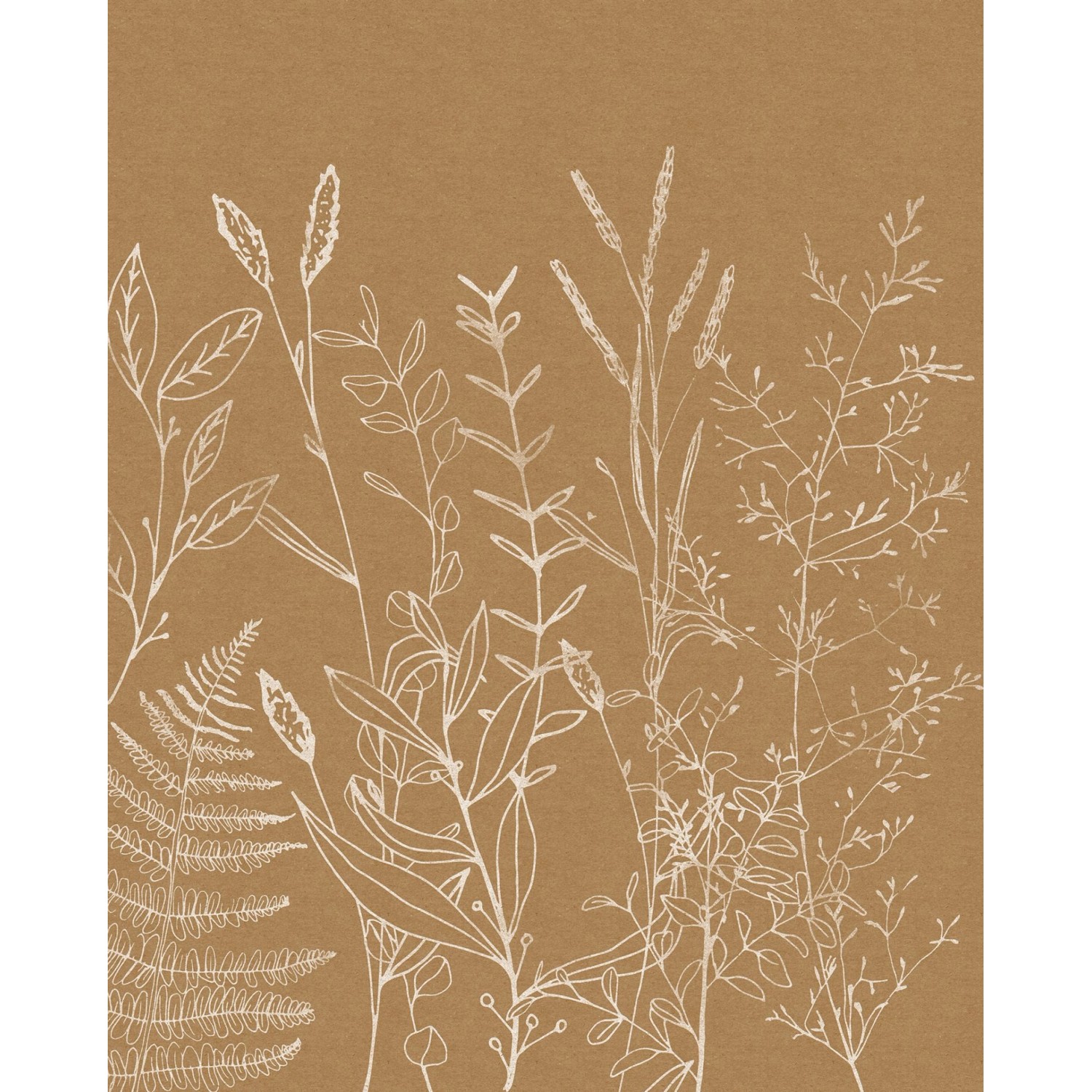 Komar Fototapete Herbs Garden Beige 200 x 250 cm 611184 günstig online kaufen