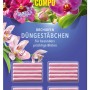 Compo Düngestäbchen für Orchideen, 20 Stück, für prächtige Blüten.