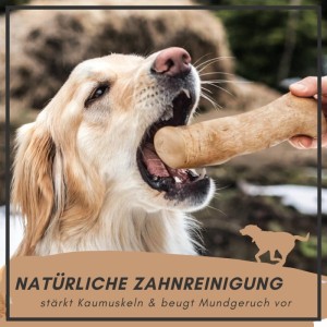 Supravit Kaffeeholz Kauknochen Größe L Kauspielzeug für Hunde