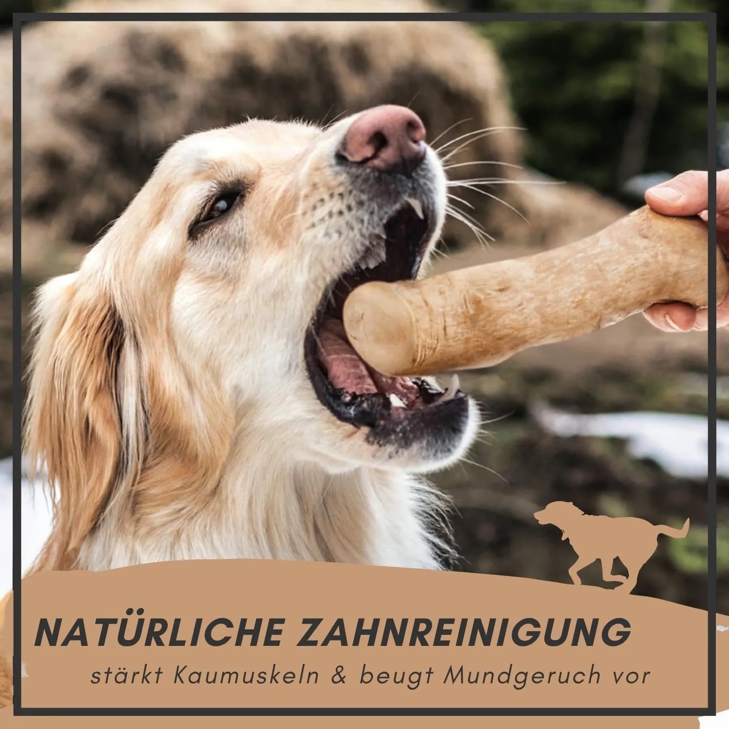 Supravit Kaffeeholz Kauknochen Größe L Kauspielzeug für Hunde_3
