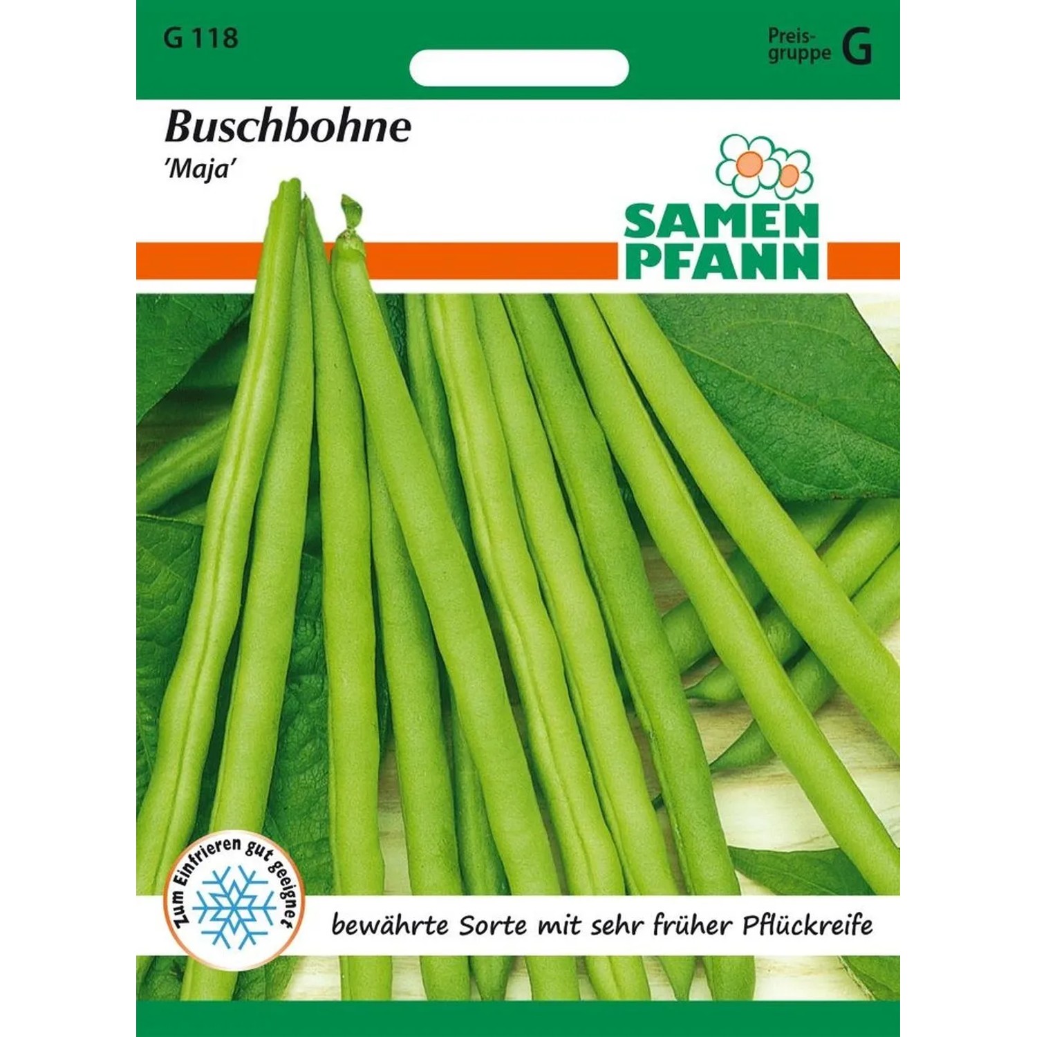 SAMEN PFANN Buschbohne Maja