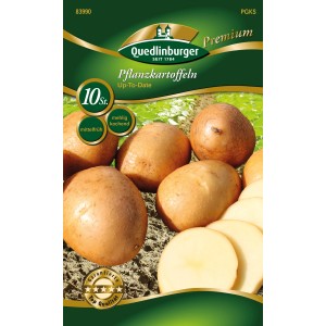 Quedlinburger Pflanzkartoffeln 'Up-To-Date', gelbschalig, mehlig kochend, 10 Stück.