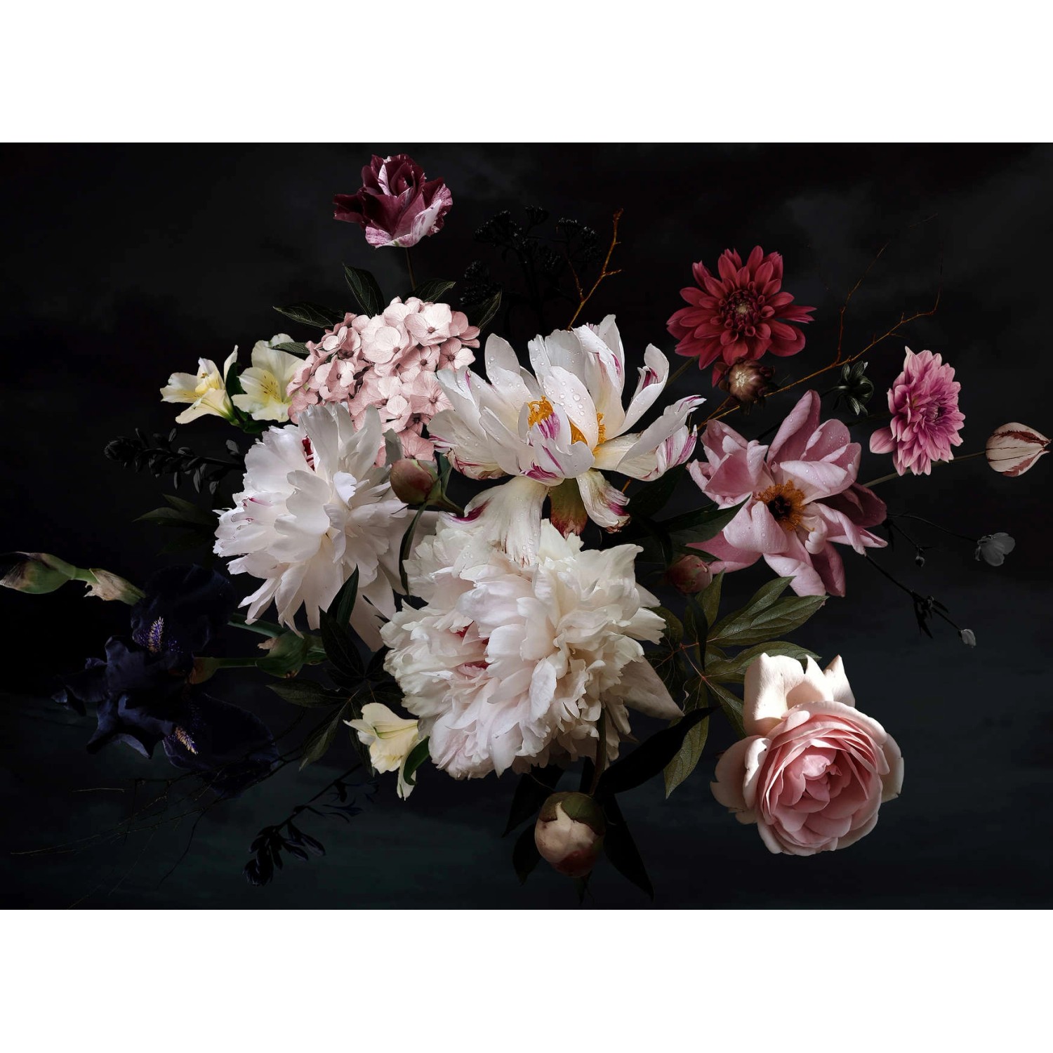 Fototapete Blumenbouquet Weiß Schwarz 3,50 m x 2,55 m FSC® günstig online kaufen