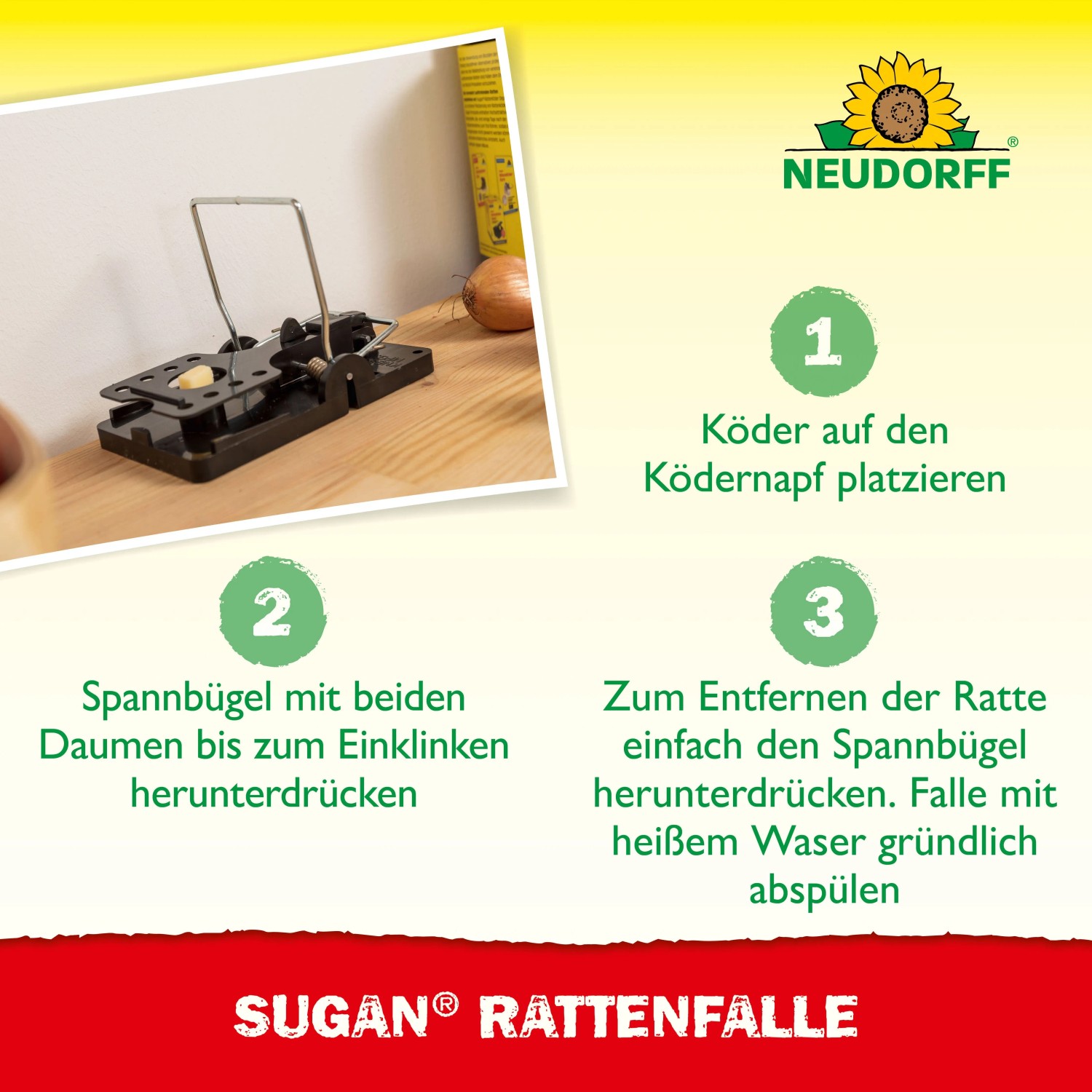 Neudorff Sugan Rattenfalle aus schwarzem Kunststoff und Stahl mit Köder auf Holzuntergrund. Fangsicher, anwenderfreundlich.
