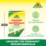 Neudorff Permanent Lockstoff Fruchtfliegenfalle 2er-Set. Nachfüllpackung, reicht bis zu 8 Wochen.