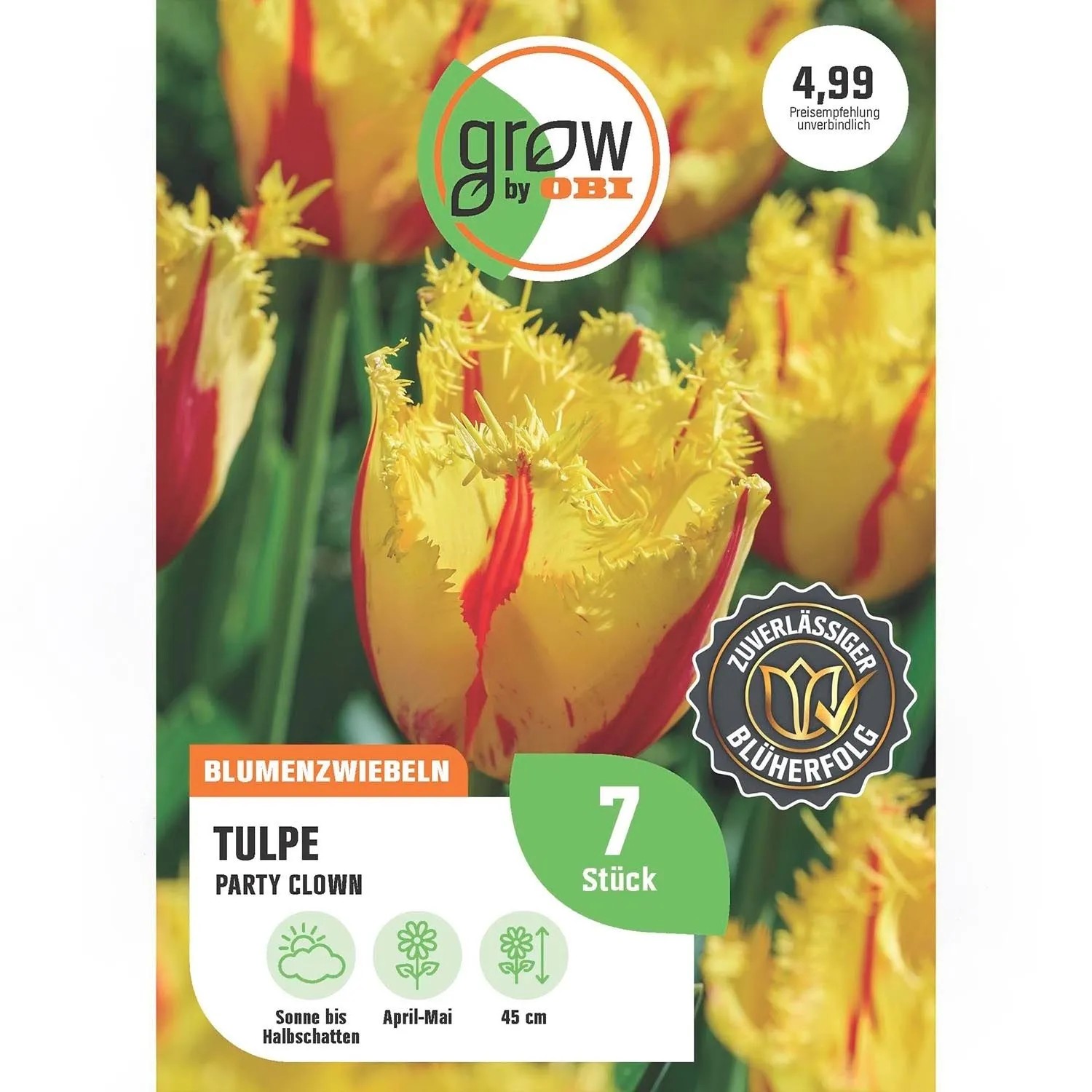 GROW by OBI Tulpe Party Clown Lila-Weiß 7 Stück Tulipa double,ate Party Clown