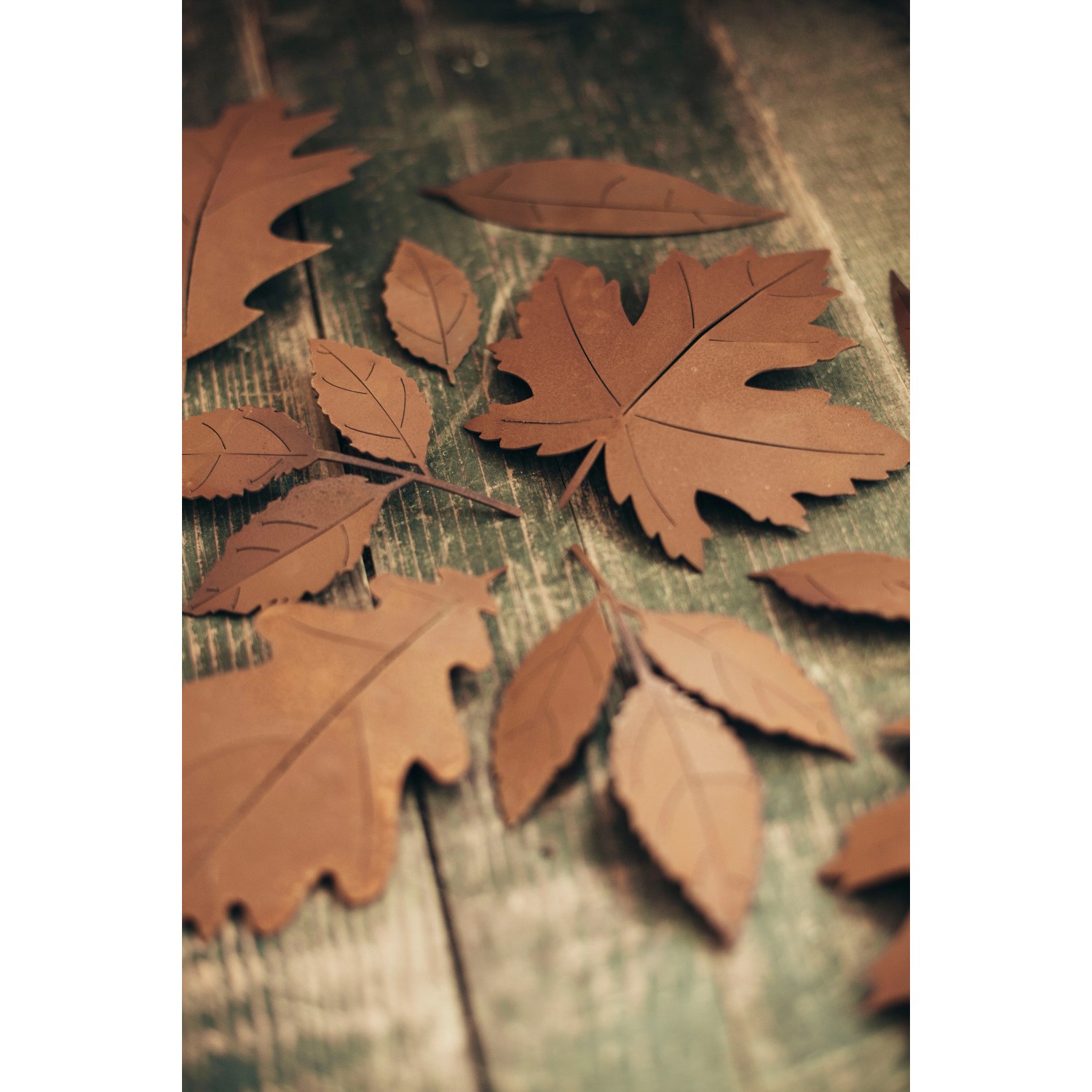 Ferrum Art Design Deko-Blatt Eiche, Edelrost Optik, Gartendekoration.
