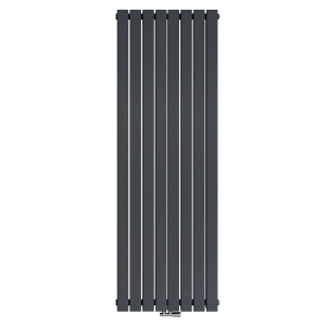 Vertikaler Emke Badheizkörper, 180x62cm, anthrazit, doppellagig. Paneelheizkörper für effiziente Wärme.