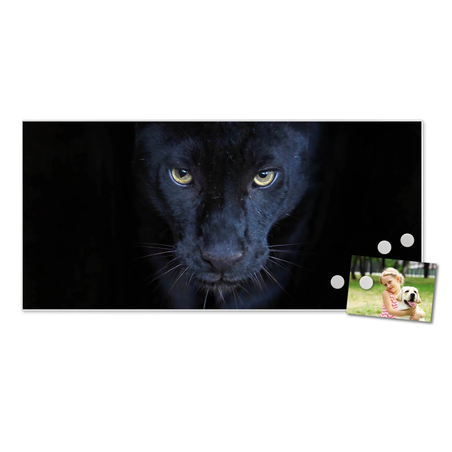 Banjado Magnettafel mit Panther-Motiv, 78x37cm, inkl. Magnete und Foto als Wanddekoration.
