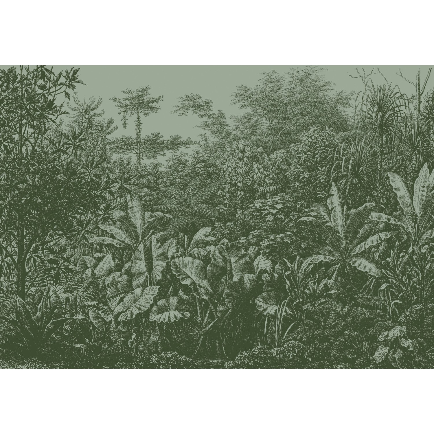 LOOKS Fototapete Vlies Rainforest Grün 2,7 m x 3,5 m FSC®