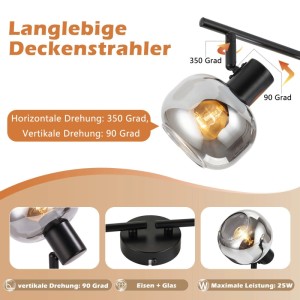 NETTLIFE Deckenstrahler schwarz, Metall & Rauchglas, dimmbar. 1-flammiger Spot, 350° horizontal, 90° vertikal drehbar. Vintage-Design.