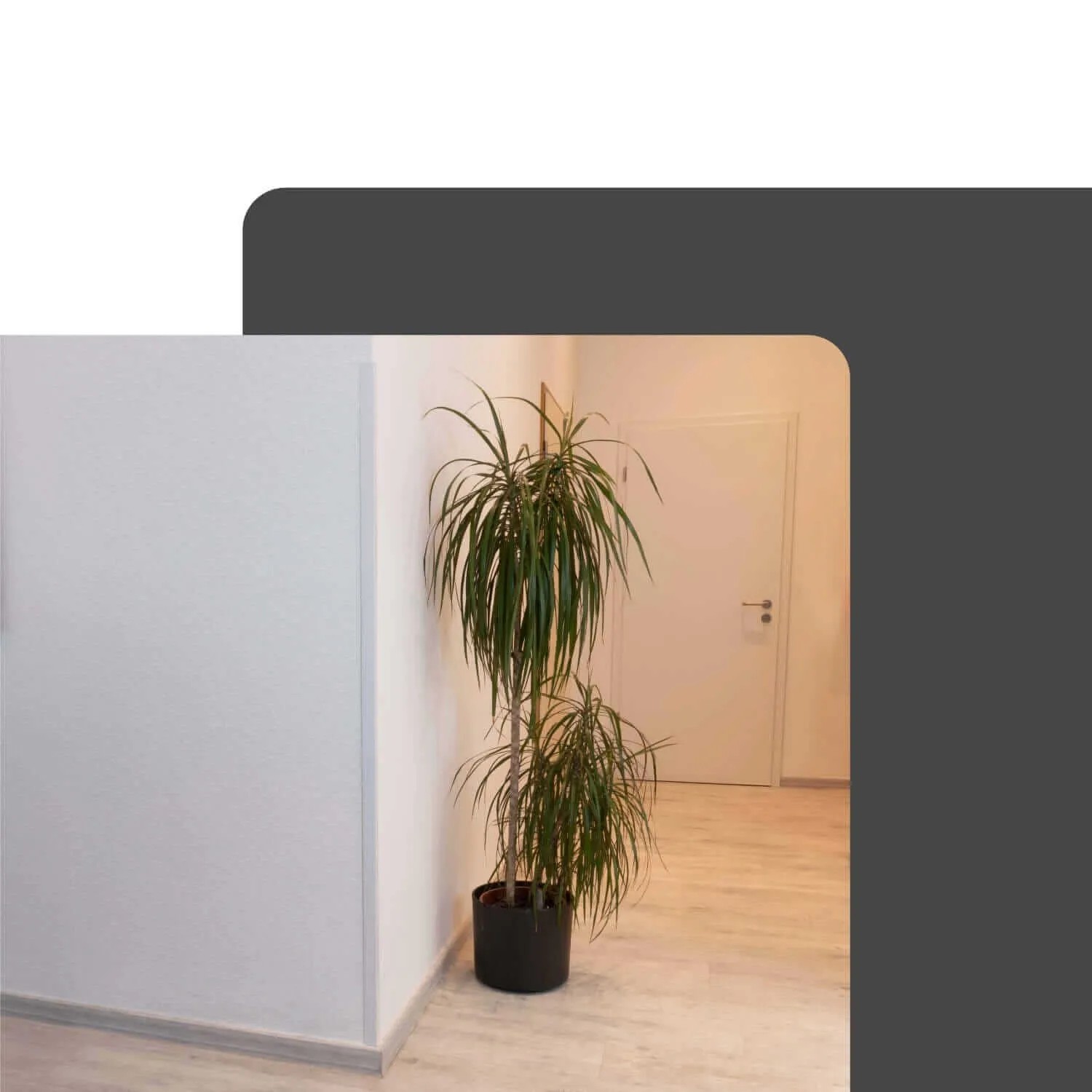 Weißes Dalsys selbstklebendes PVC Winkelprofil 30x30mm an einer Wandkante. Ideal für präzisen Kantenschutz.