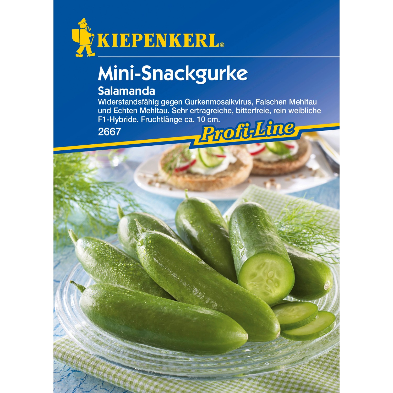 Salatgurke Salamanda F1 günstig online kaufen