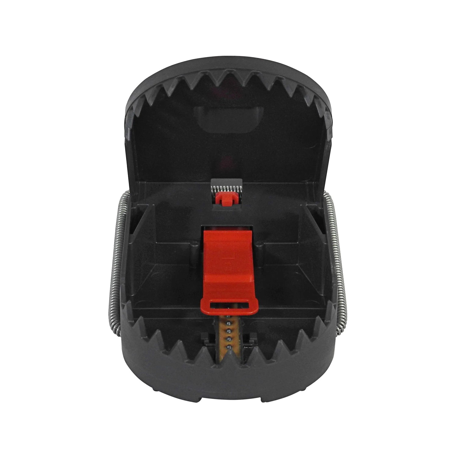 Swissinno Swissino Rattenfalle Pro SuperCat