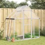 vidaXL Gewächshaus mit Fundamentrahmen Silbern 169x114x195 cm Alu 4005822_2
