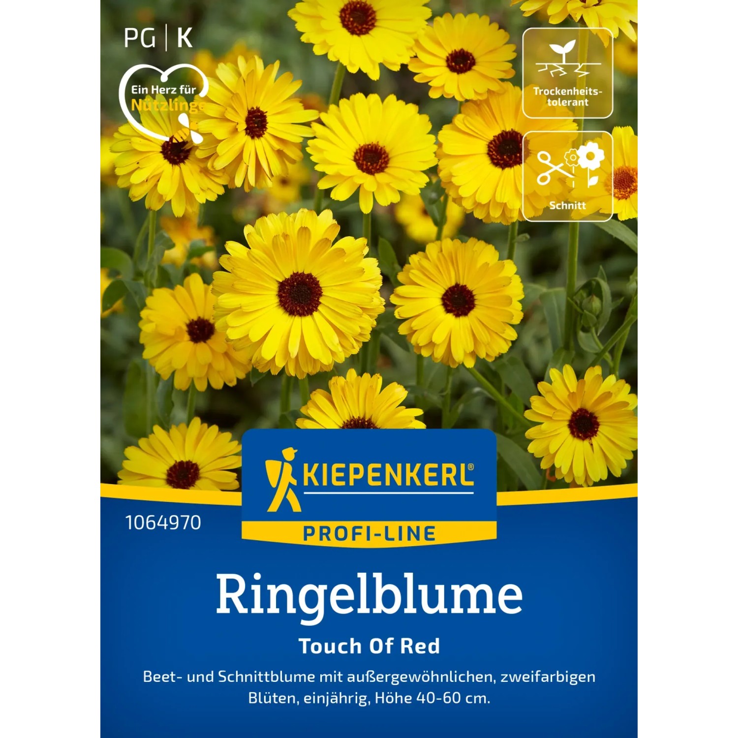 Kiepenkerl Ringelblume "Touch of Red Mix" Mehrfarbig
