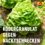 Compo Schneckenkorn Vorteilspack: Ködergranulat gegen Nacktschnecken im Gemüsebeet.