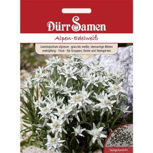 Dürr Samen Alpen-Edelweiß: Saatgut für mehrjährige, grau-weiße, sternartige Blüten.