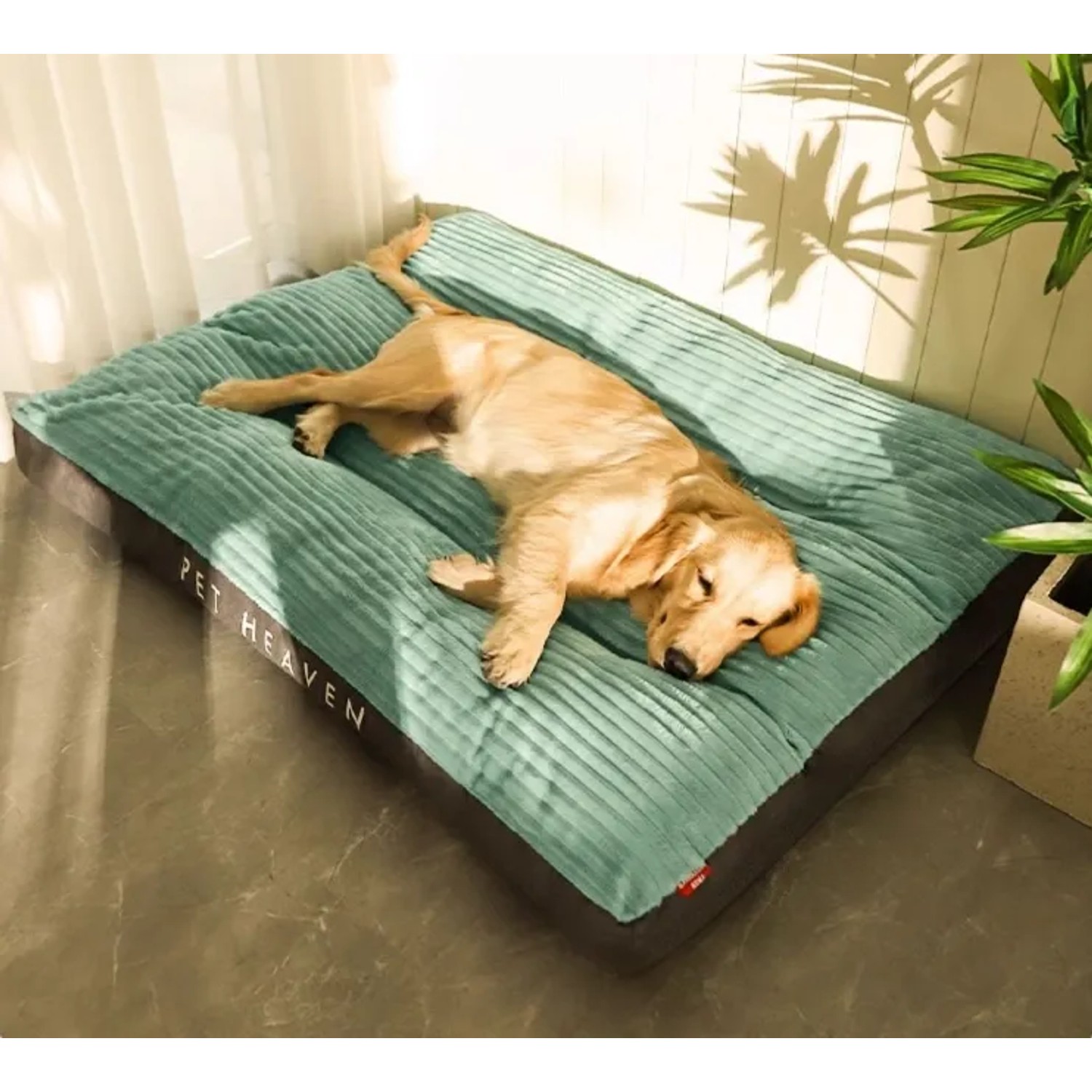 Hund liegt entspannt auf grünem Petsation Ganzjahres-Hundebett (60 cm).