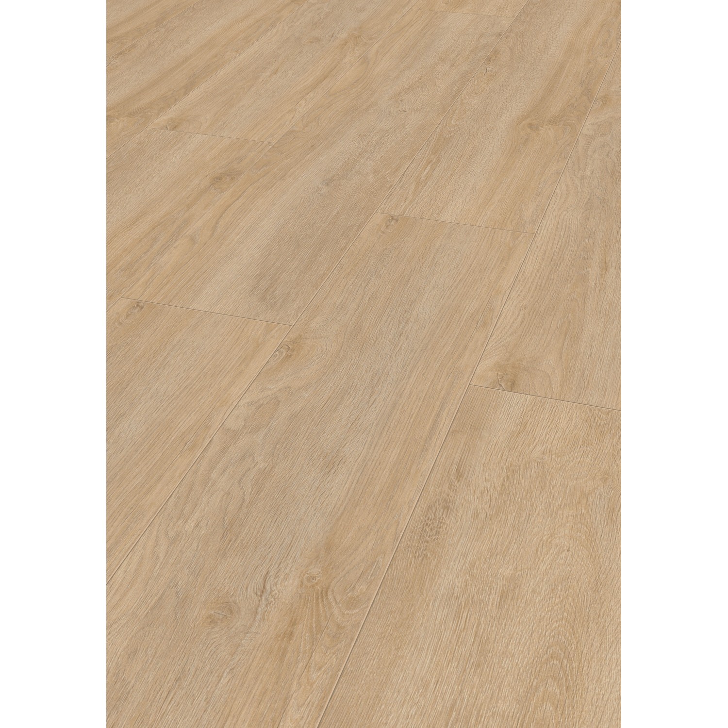 Jangal Laminatboden Oak National Park Line Pro Sarek günstig online kaufen