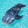 Bestway Schwimmtier Whaletastic Wonders, Walhai Design, blau mit weißen Punkten, für Kinder ab 3 Jahren.