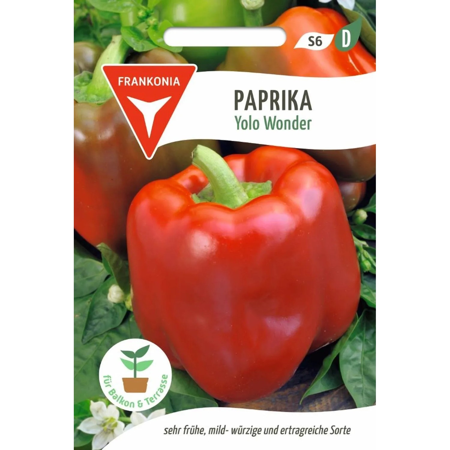FRANKONIA Paprika Yolo Wonder günstig online kaufen