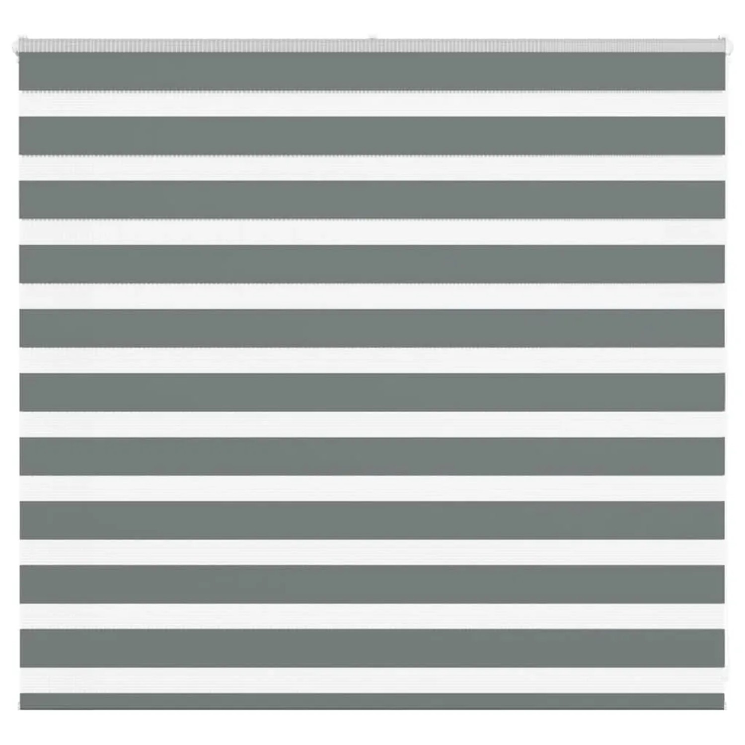 vidaXL Doppelrollo Dunkelgrau 160x100 cm Stoffbreite 155,9 cm Polyester 4014117