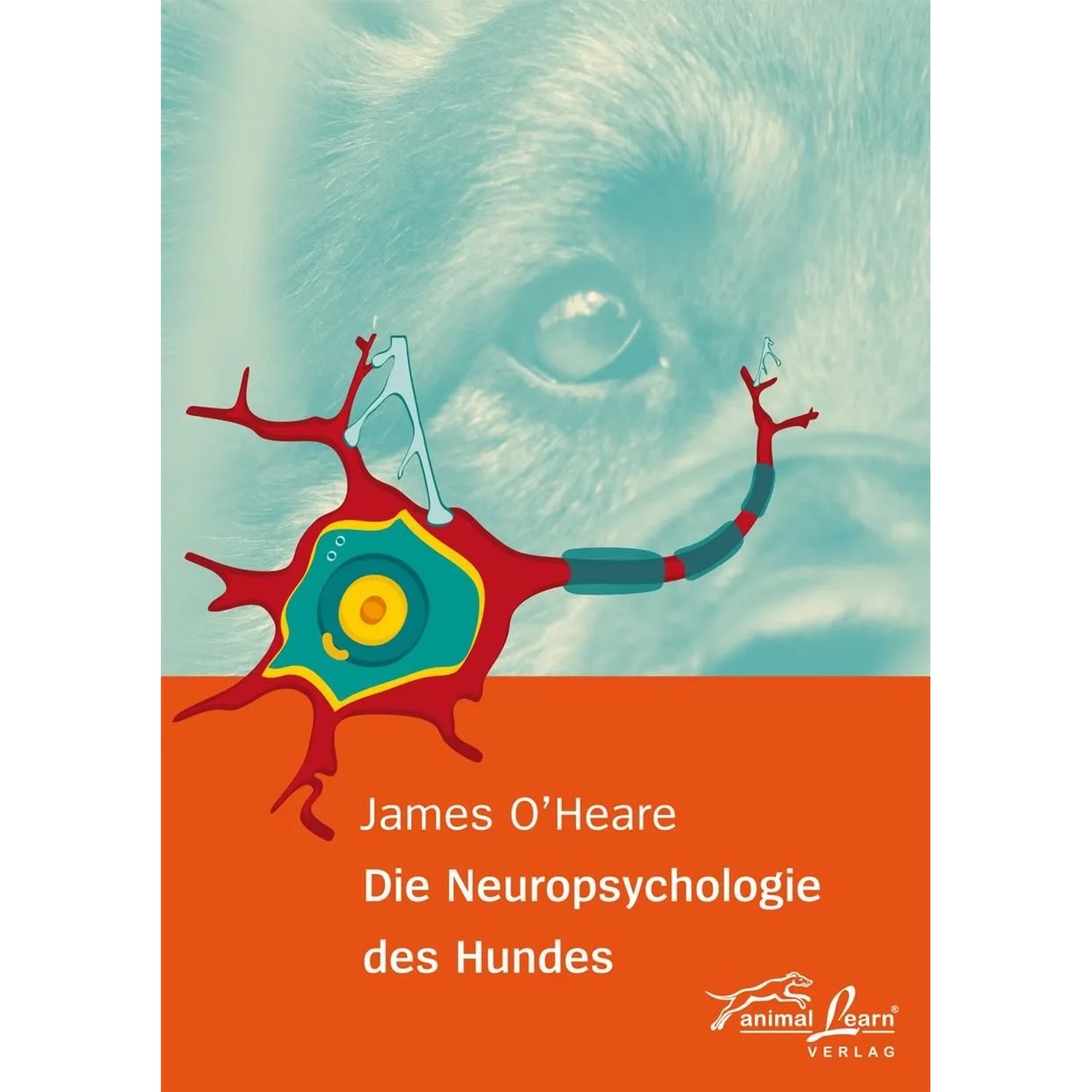 Die Neuropsychologie des Hundes