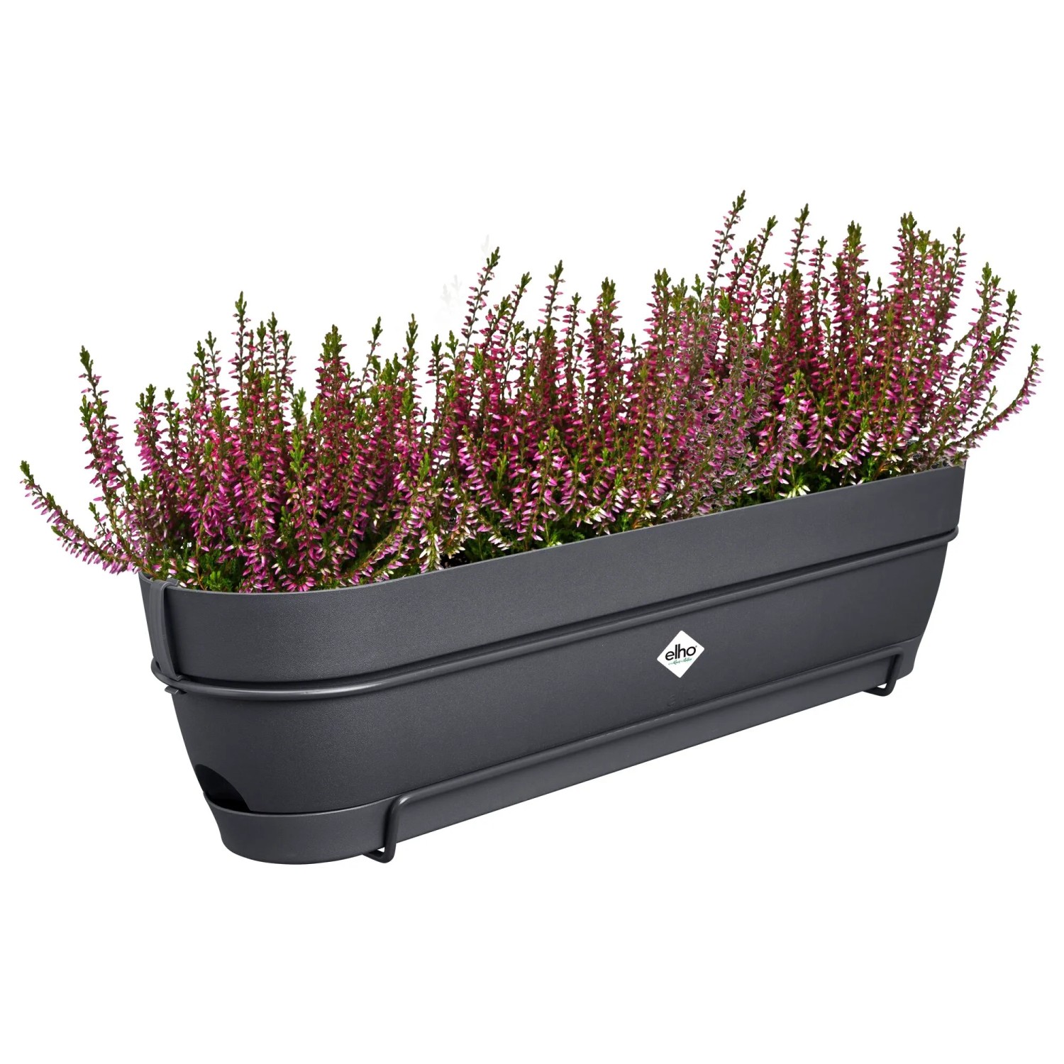 Elho Pflanzkasten Balkon Vibia Campana 70 x 26 x 17 cm Anthrazit kaufen bei  OBI
