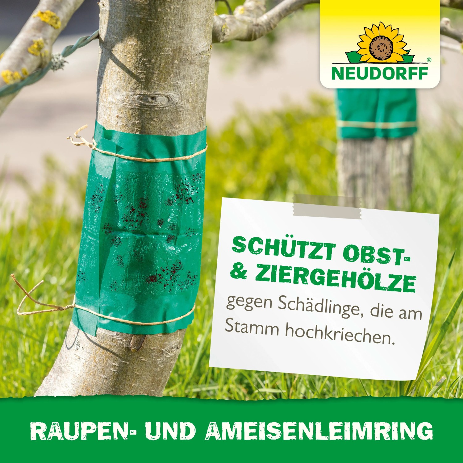 Neudorff Raupen- und Ameisenleimring am Baumstamm. Schutz vor Schädlingen.
