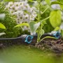 Gardena Reihentropfer im Beet: Regulierbare Bewässerung für Micro-Drip-Systeme.