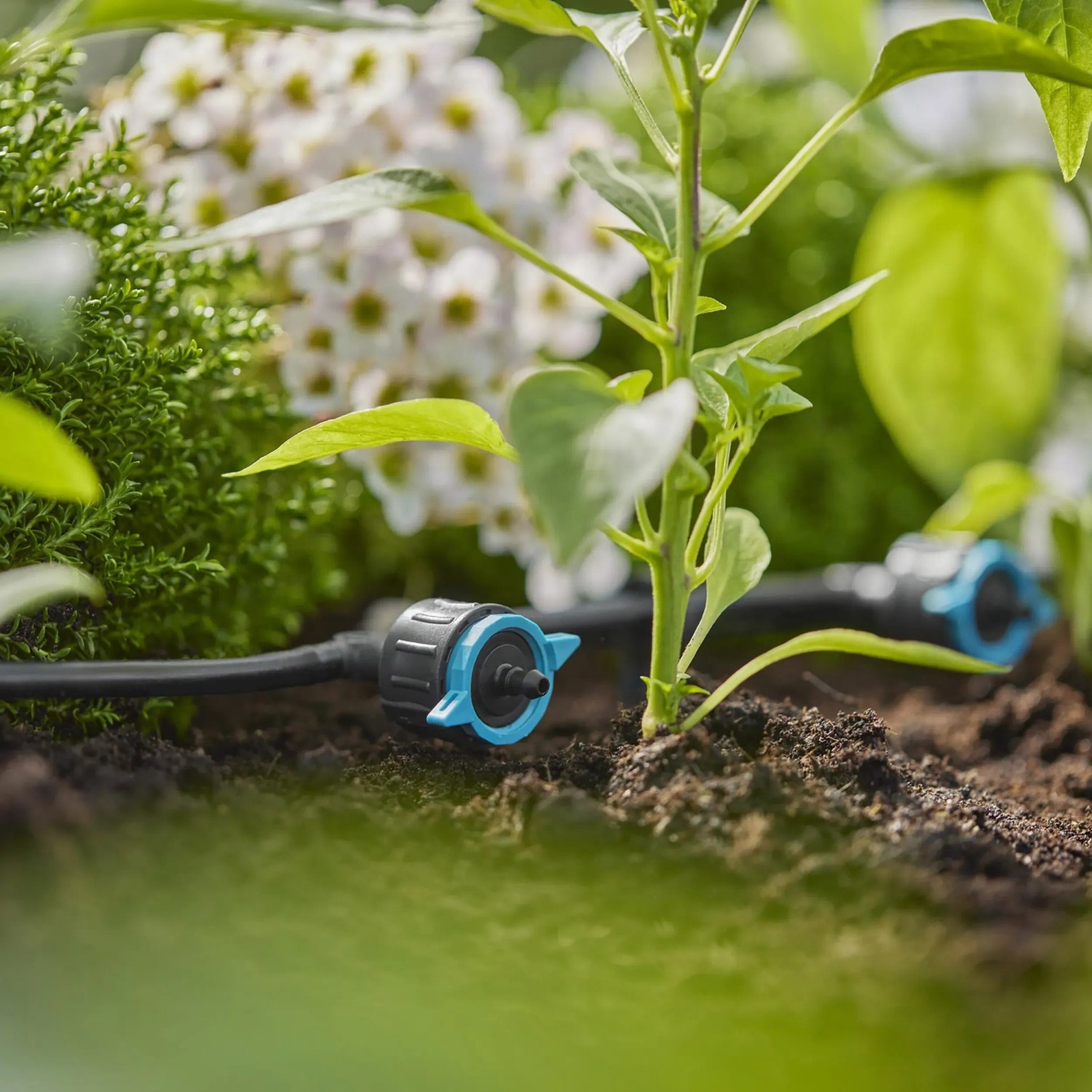 Gardena Reihentropfer im Beet: Regulierbare Bewässerung für Micro-Drip-Systeme.