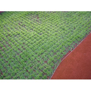 Rote Rasengitter-Fallschutzplatte 100x100 cm mit grünen Gras, ideal für Terrassen & Gehwege.