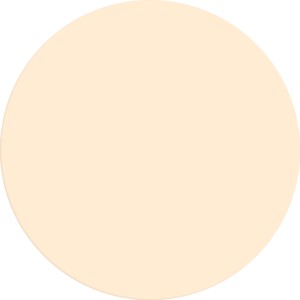 Farbfeld der Alpina Wandfarbe Pure Farben Mandelbeige, 2,5 l.