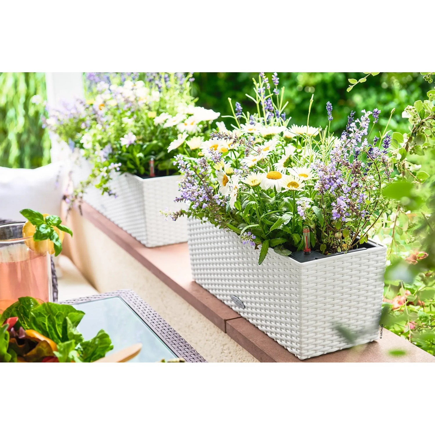 blumenständer ambia ECO AMBIA-LINE Messerblock aus pflanzenbasiertem Kunststoff main image 1