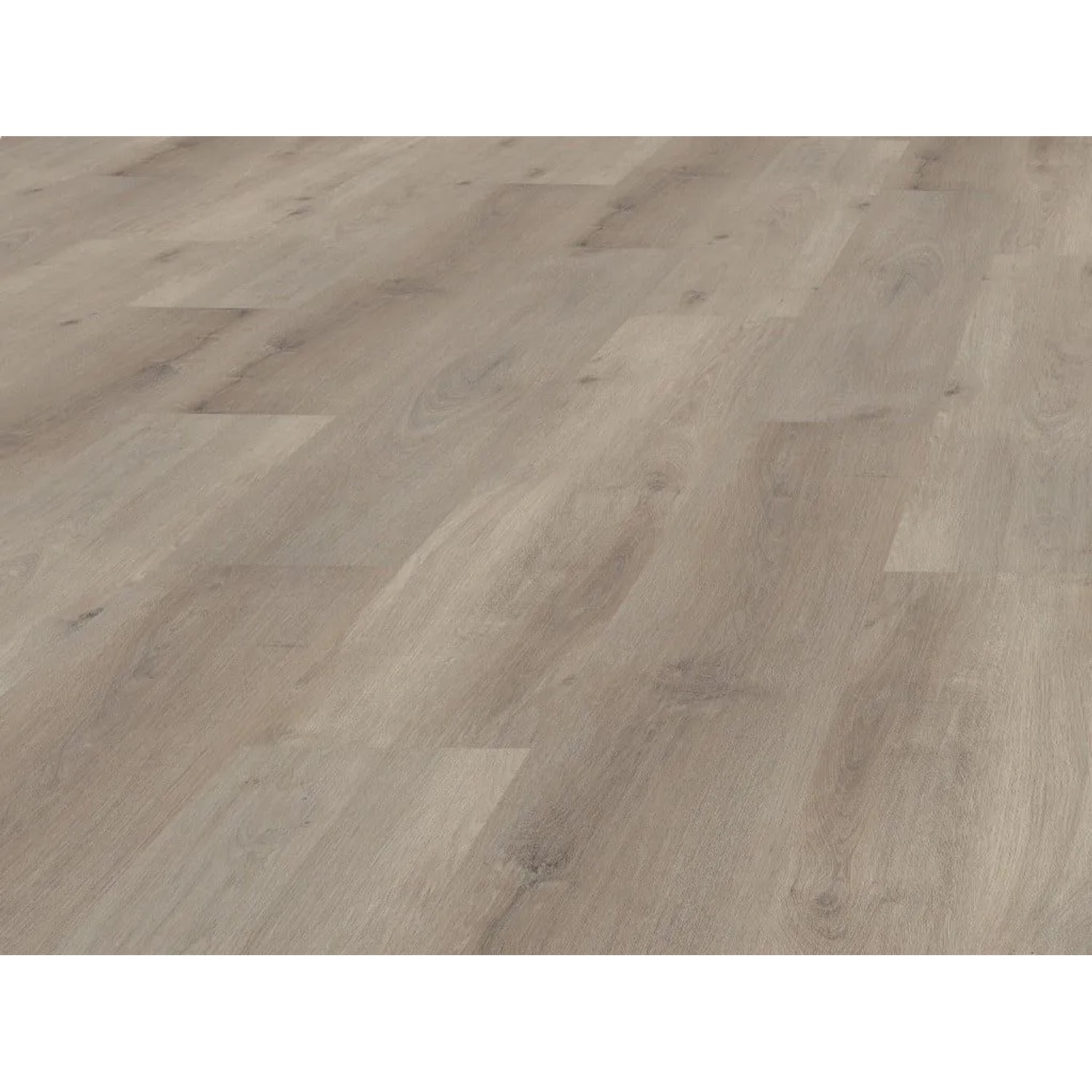BASICfloor Vinylboden Eiche Rustikal Steingrau Landhausdiele