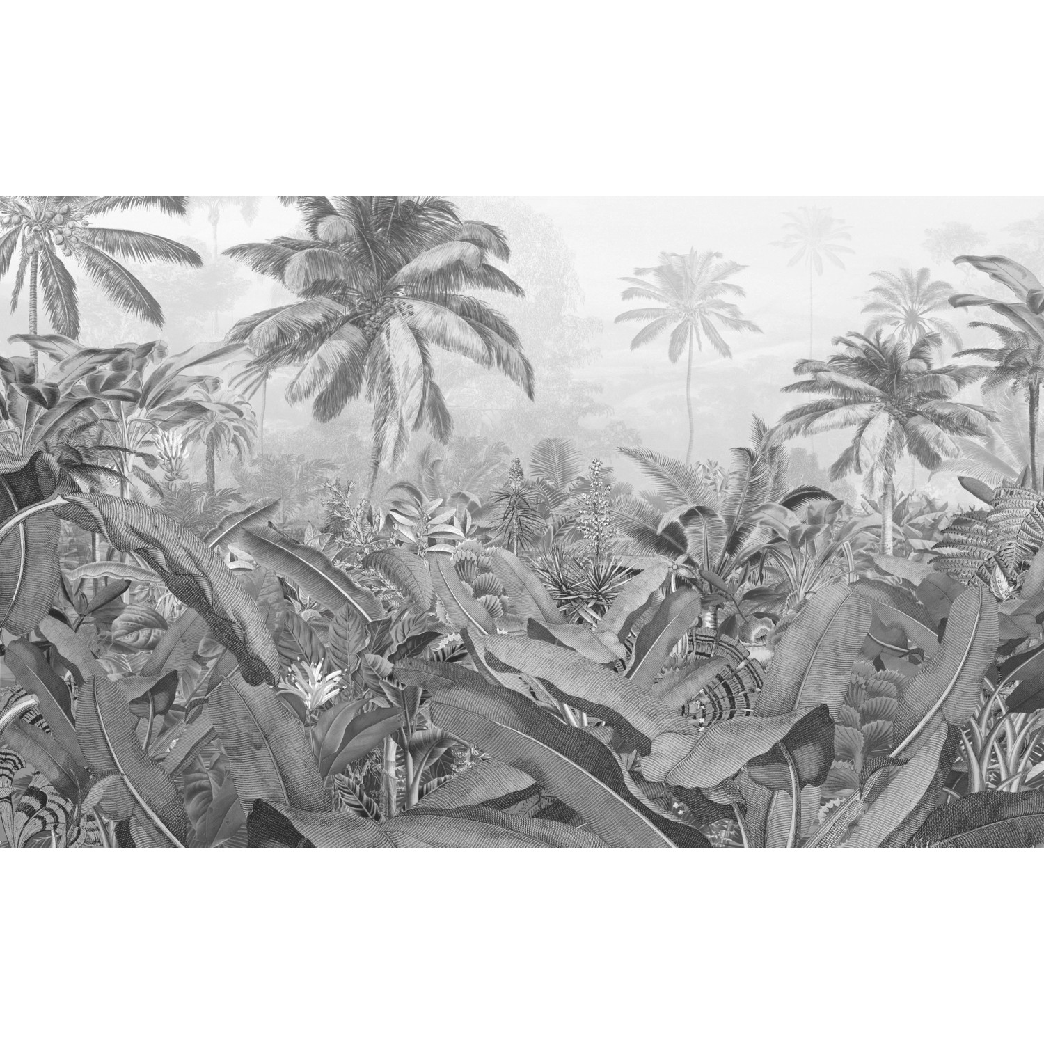 Komar Fototapete Vlies Amazonia Black and White  400 x 250 cm