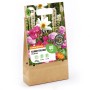 GROW by OBI Schmetterlinge-Kollektion Blumenzwiebeln, Höhe 25-75cm, in Papierverpackung.